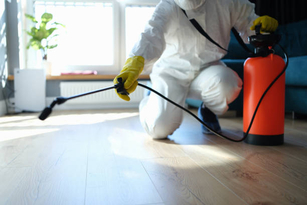Reliable Odor Removal contractor in Hampton, IA by Trauma Clean Pros